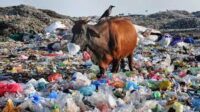 UN Treaty to End Plastic Pollution