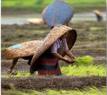 Climate Smart Agriculture क्या है इस बारे में पूरी जानकारी